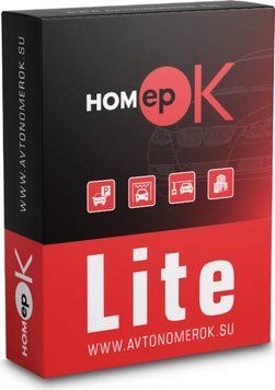 ПЗ для розпізнавання автономерів HOMEPOK Lite 4 канали 114749 фото