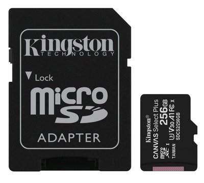 Kingston 256GB microSDXC Карта пам’яті 27415 фото