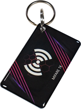 Ключ Proxy key Epoxy MF 99-00015141 фото