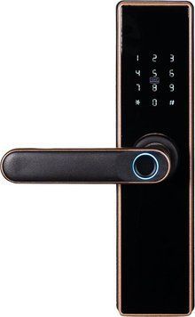 Замок биометричний автономний Trinix TRL-5402BTF Bronze з Bluetooth, зчитувачем видбиткив пальцив и карт Mifare 65-00072 фото